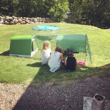 Kids with their Eglu Go Rabbit Hutch and Run