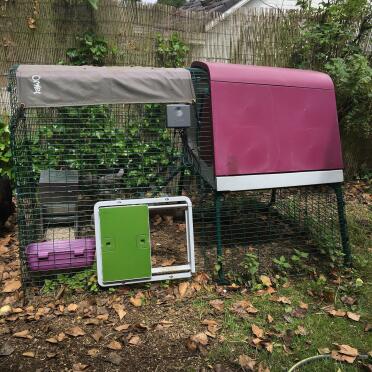 Omlet Purple Eglu Cube Large Chicken Coop and run with Omlet Green Automatic Chicken Coop Door Attached to Run