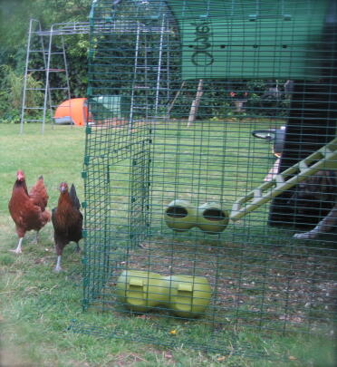 Chicken Run