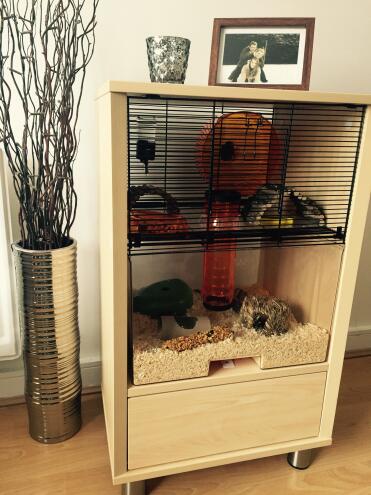 Omelet Qute cage with storage