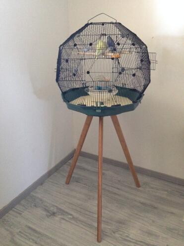 Omlet Geo Bird Cage with Black Cage, Teal Base and Tall Legs