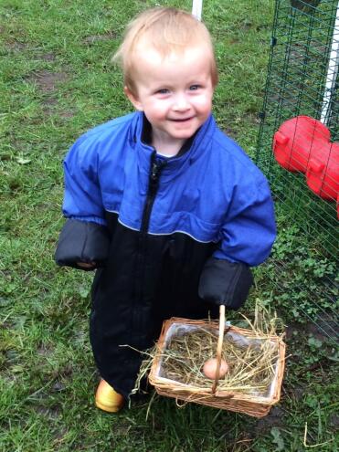 Mini chicken keeper age 18 months!