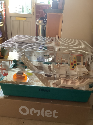 Remy is a happy hamster in her new cage.