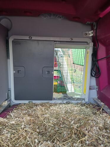 Discreet and efficient mounted in an Omlet coop