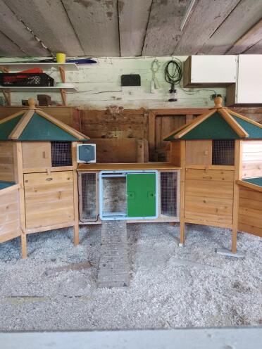 Omlet Green Automatic Chicken Coop Door Attached to Wooden Chicken Coop