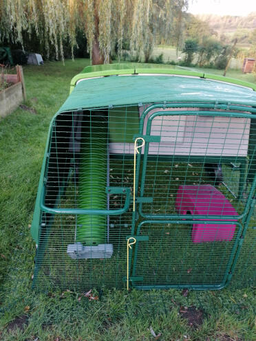 Eglu pro equipped for guinea pigs and rabbits 