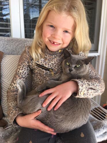 Burmese cats are great with kids!