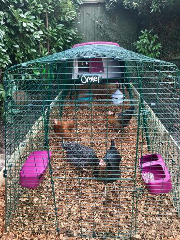 The Eglu Cube - the perfect coop for my chickens! 