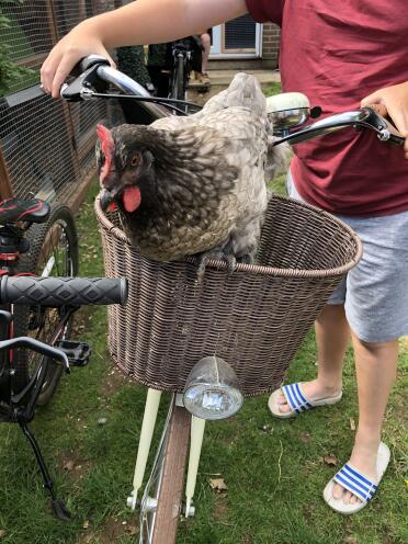 I want to come on a bike ride with you!