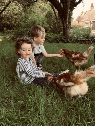 Chickens make great pets for the whole family!