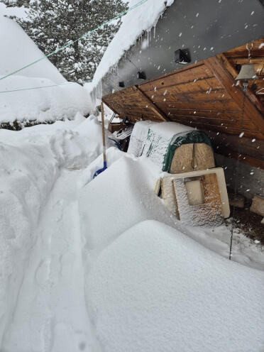 Henhouse in the Snow