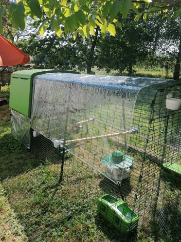 Protect your chickens from the rain while allowing some sun to filter