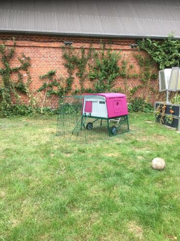 The eglu cube looks great in any garden!