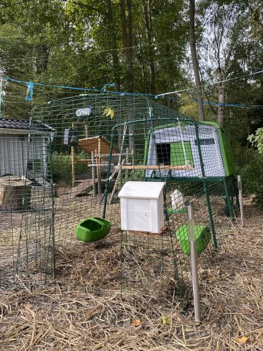 The Eglu Cube makes the perfect home for my hens!