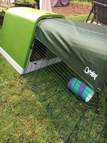 Well protected from wind and weather in the new stable!