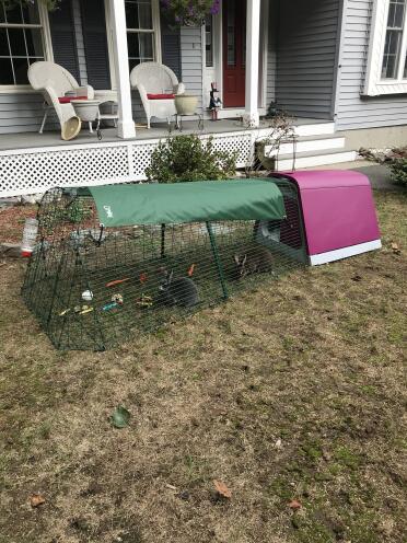 Omlet Purple Eglu Go Rabbit Hutch and Run