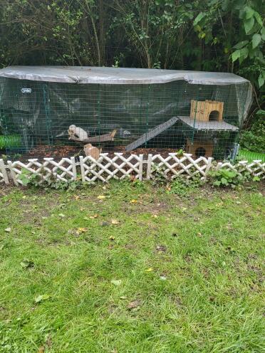 Peanut, Stella and Luna are thrilled with the Zippi rabbit run, which has a length of approx. 2.44 m with the extension packs!