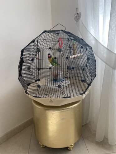 Omlet Geo Bird Cage with Black Cage and Cream Base