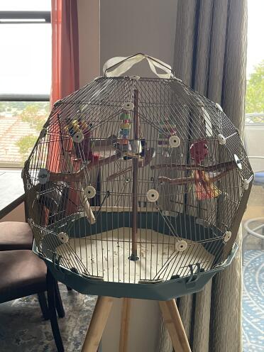 The Geo Bird Cage looks beautiful in my home!