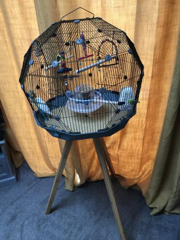 Stylish modern bird cage. I love it and so does Billy my budgie 