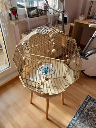 Bird cage all set up and ready for my bird!