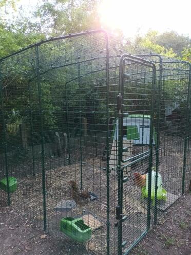 Our new enclosure with extension!