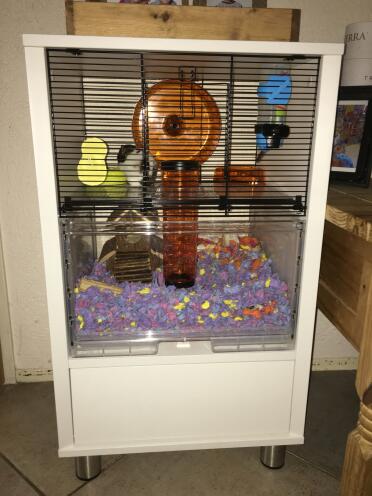 Very happy with the purchase of our new hamster cage