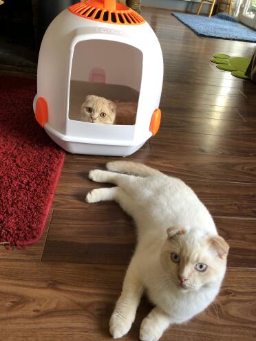 Marcus loving his new igloo!