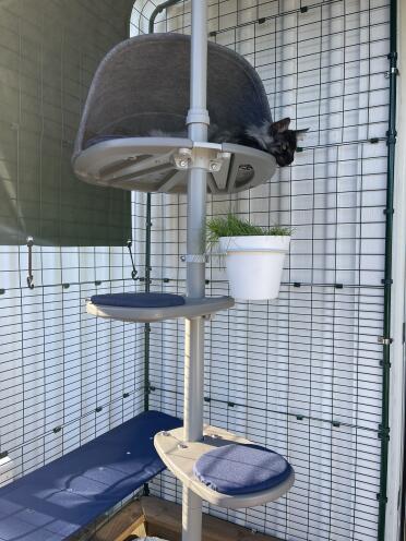 A customisable tree in your catio