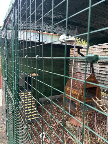 Solution found for connecting wooden chicken coop and enclosure