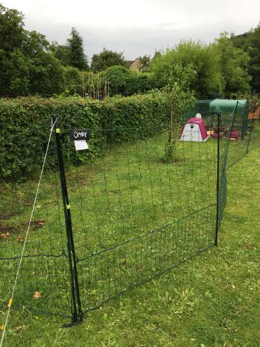 21m chicken fencing