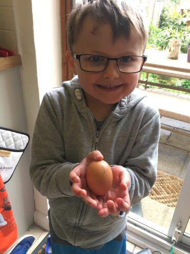 Our First Egg