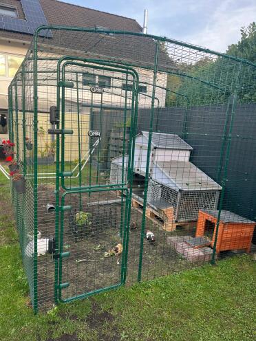 New outdoor run space for our 3 rabbits and 3 guinea pigs
