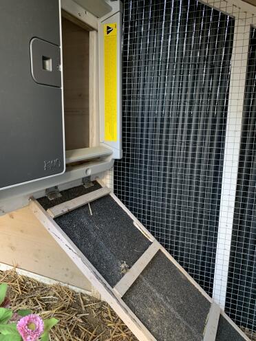 The automatic door for my chickens, what a comfort!