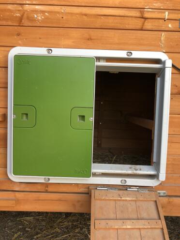 Omlet Green Automatic Chicken Coop Door Attached to Wooden Chicken Coop