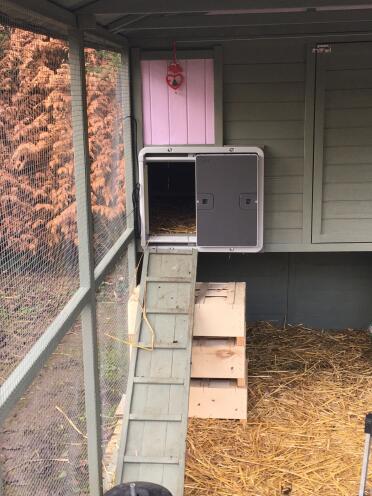 The autodoor is easy to attach to any chicken coop.