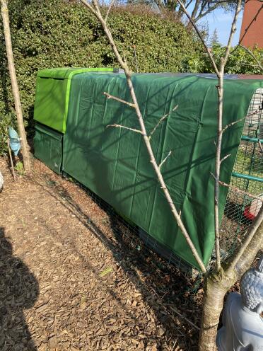 The large tarpaulin protects our chickens from the cold, rain and sun. The transparent side is also great!