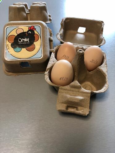 Don't forget to date your eggs!