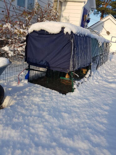 Omlet Eglu Cube Large Chicken Coop and Run with Omlet Extreme Temperature Jacket On