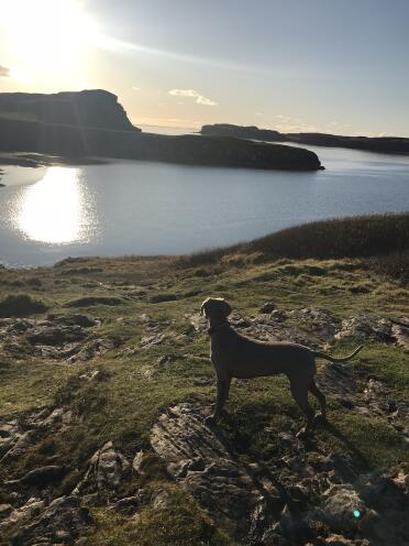 What a lovely day for a walk!