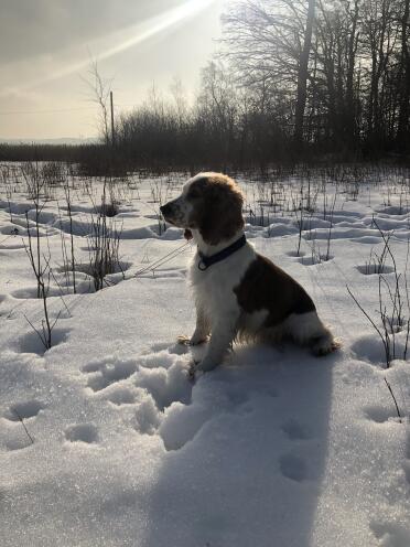 What a lovely day for a walk!