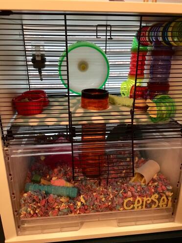 Omlet White Qute Gerbil Cage