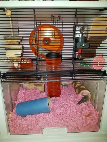 Jumpy and Jingles' pink bedding