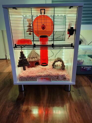 A hamster cage that can be personalized in various ways