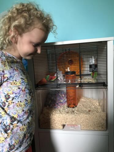 My daughter loves her new hamster Oreo’s home