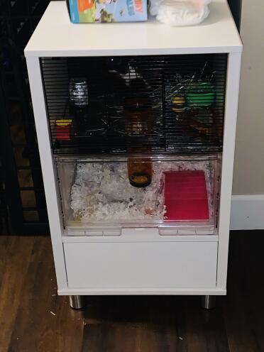 Omlet White Qute Gerbil Cage