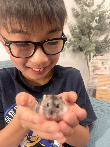 Both my hamster and my kids love the Omlet hamster cage!