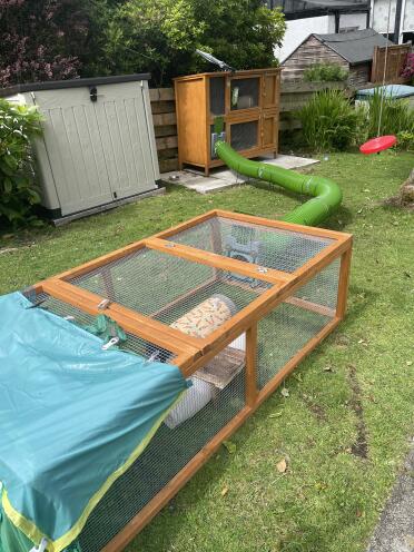 The Zippi Tunnels make a great addition to my rabbit hutch!