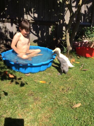 Kids love having pet ducks!