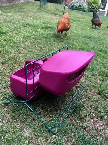 Omlet Feeder Drinker Stand - great when the girls are free ranging 